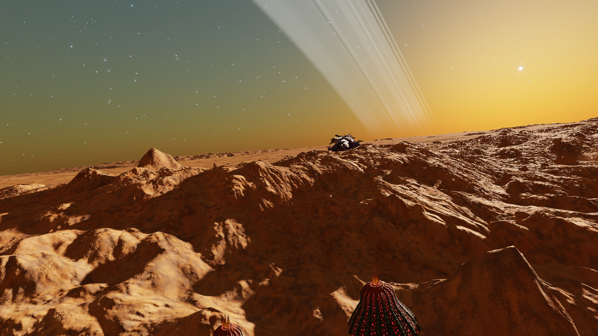 Surface of planet 8, Rubeum Luteolum Anemone pictured