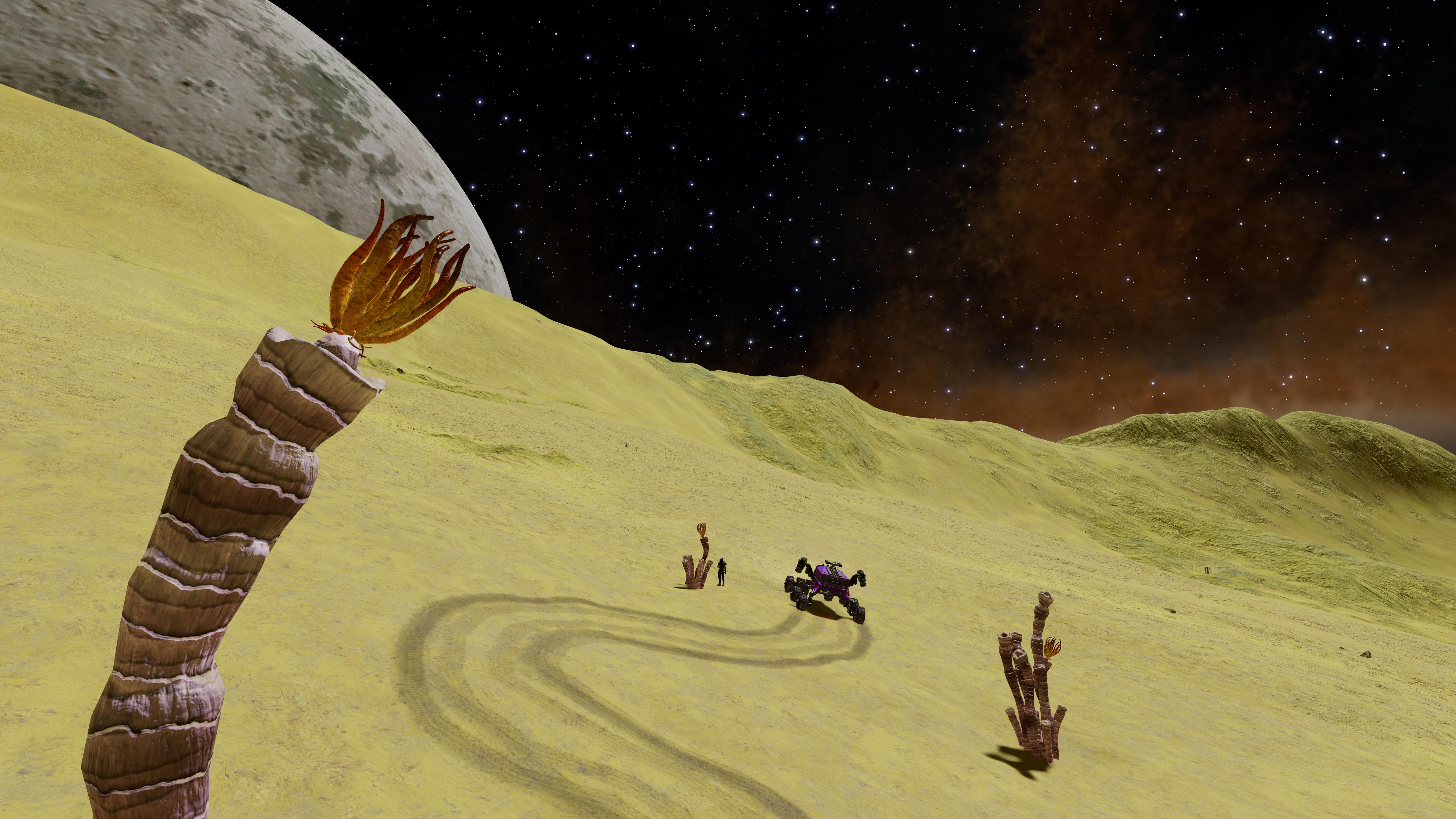 Surface of moon 6 a a, Roseum Sinuous Tubers and moon 6 a pictured